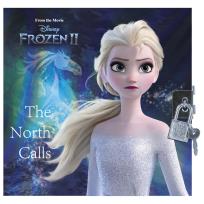 Opakowanie Pamiętnik metalizowany z kłódką Kraina Lodu 27