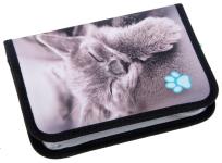 Opakowanie Piórnik bez wyposażenia 2kl Kitty