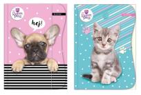 Opakowanie Teczka z gumką A4 The Sweet Pets Kids mix