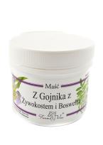 Zdjęcie produktu Farm-Vix Maść z gojnika z żywokostem i boswellią 150ml