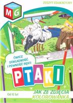 Okładka książki Jak ze zdjęcia - Ptaki