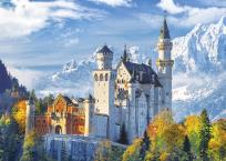 Okładka książki KAL.TROJ. JEDNOCZESCIOWY DRZEWA 2015-PRMI