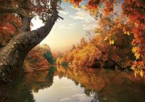 Okładka książki KAL.TROJ. JEDNOCZESCIOWY ROZE 2015-PRMI