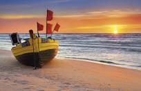 Okładka książki KAL.TROJ. SKLADANY KROKUSY 2015 - PRMI