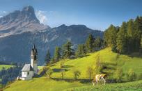 Okładka książki KAL.TROJ. SKLADANY SOSENKA 2015 - PRMI