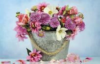 Okładka książki KAL.TROJ.SLONECZNIKI 2014 T-105T-11-PRMI