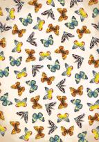 Okładka książki Notatnik Motyle