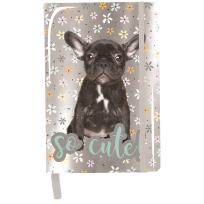 Opakowanie Notes A5 buldog pp20bu-3685