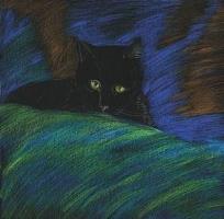 Opakowanie Notes. Kot tajemniczy