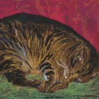 Opakowanie Notes. Śpiący kot