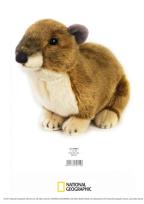 Opakowanie PLUSZ Góralek przylądkowy