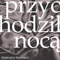 Okładka książki Przychodził nocą