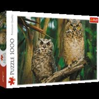 Opakowanie Puzzle 1000 Nowość AW20 TREFL