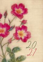 Opakowanie Terminarz 2021 Mikro MiP