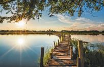 Opakowanie Terminarz 2021 Ścienny MiP