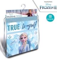 Opakowanie Worek szkolny Kraina Lodu 2