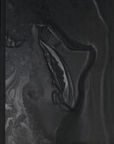 Okładka książki Wyzwolone siły. Angelika Markul i współczesny..