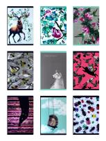 Opakowanie Zeszyt PP Fun II A4 60k kratka 80gsm pakiet 4 sztuki