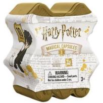 Opakowanie Harry Potter: Magical Capsule