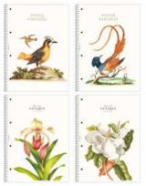 Opakowanie Kołozeszyt A4/80K kratka Paradise ASTRA