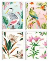 Opakowanie Kołozeszyt A4/80K linia Nature motifs ASTRA