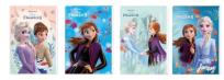 Opakowanie Notes A6/30K z poddrukiem Frozen II (12szt)