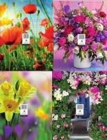 Opakowanie Podstawka zdzieraka MIX