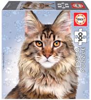 Opakowanie Puzzle 100 Koty - Maine coon G3