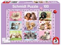 Opakowanie Puzzle 100 Przyjaciele G3