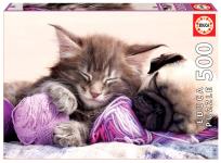 Opakowanie Puzzle 500 Towarzysze snów G3