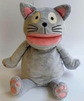 Opakowanie Cambridge Little Steps Puppet American English