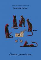 Okładka książki Ciemno, prawie noc wyd.4