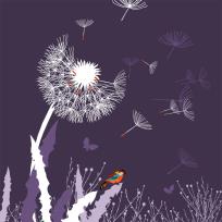 Opakowanie Karnet Swarovski kwadrat CL3404 Dmuchawiec