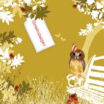 Opakowanie Karnet Swarovski kwadrat CL3410 Gratulacje! Sowa