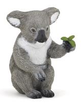 Opakowanie Koala