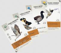 Opakowanie Na skrzydłach: Szybki start