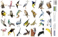 Opakowanie Naklejki Ptaki