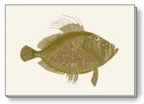 Opakowanie Notes ozdobny A5 BR NP S28 C ROSSI