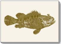 Opakowanie Notes ozdobny A5 BR NP S29 CROSSI