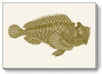 Opakowanie Notes ozdobny A5 BR NP S31 C ROSSI