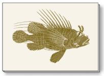 Opakowanie Notes ozdobny A6 BR NP S30 B ROSSI