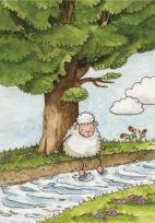 Okładka książki Pocztówka z kolorowanką - Błogosławiony człowiek