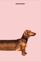 Opakowanie Teczka A4 Overgrown