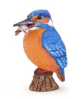 Opakowanie Zimorodek zwyczajny