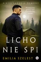Okładka książki Bieszczadzkie demony - Licho nie śpi