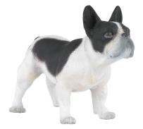 Opakowanie Buldog francuski