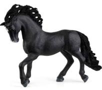 Opakowanie Hiszpański ogier