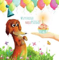 Opakowanie Karnet KW Pies