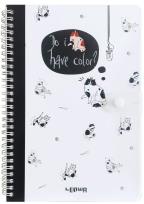 Opakowanie Kołonotes B5/80K linia zamykany na zatrzask