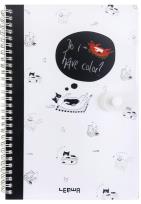 Opakowanie Kołonotes B5/80K linia zamykany na zatrzask